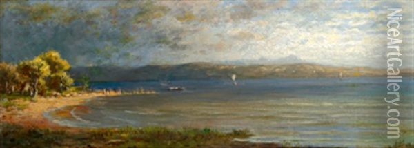 Am Bodensee Oil Painting - Paul Heitinger