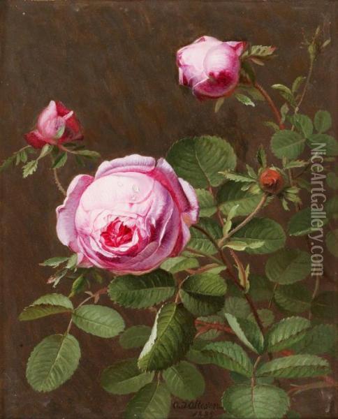 Still Life With Pink Roses Oil Painting - Otto Didrik Ottesen