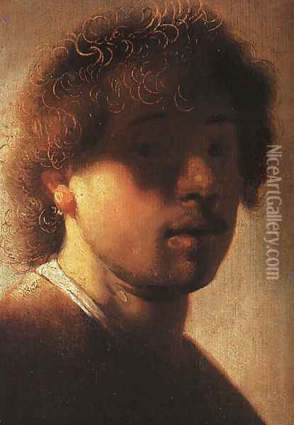 Self-Portrait 1627 Oil Painting - Rembrandt Van Rijn