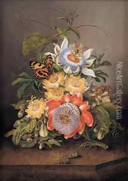 Passionflowers Oil Painting - Ferdinand Bauer