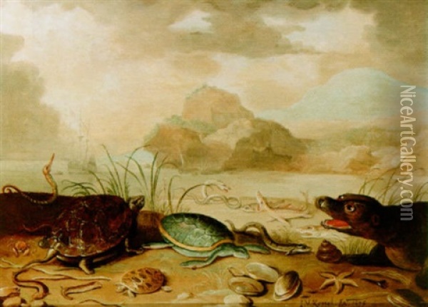A Beach Scene With A Still Life Of Turtles, Fish, A Crab, Shells And A Seal, All On A Beach With A Ship Beyond Oil Painting - Jan van Kessel the Elder