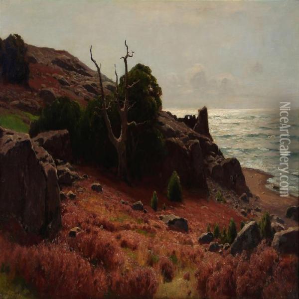 Late Summer At The Swedish Coast Oil Painting - Konrad Mueller-Kuerzwelly