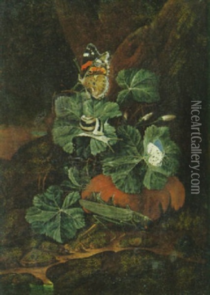 Heuschrecke, Schnecke Und Schmetterlinge Auf Blattwerk Und Kurbisfrucht Am Waldboden Oil Painting - Otto Marseus van Schrieck