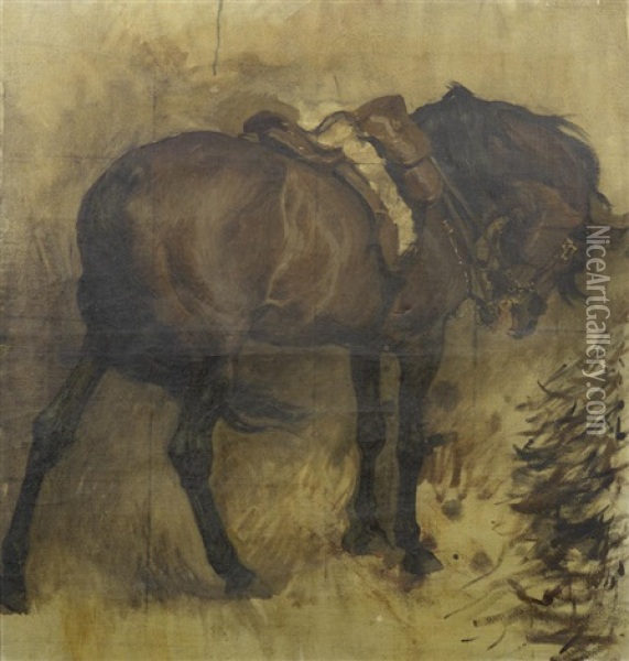 Sketch Of Field-marshall Roberts' Horse Saracen Oil Painting - Charles Wellington Furse