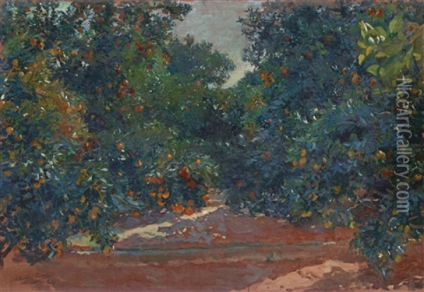Naranjos De Alcira (orange Trees In Alcira) Oil Painting - Joaquin Sorolla