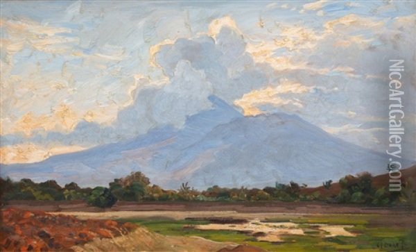 A Sawah Landscape With A Volcano In The Distance Oil Painting - Carel Lodewijk Dake the Younger