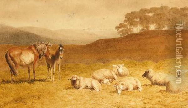 Sheep And Ponies Resting In An Extensive Landscape Oil Painting - Robert Hills