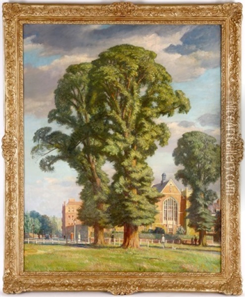 Elm Tree In The Suburbs Oil Painting - Francis H. Dodd