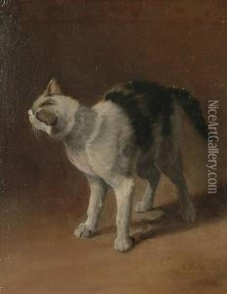 A Study Of A Black And White Cat Oil Painting - Charles Verlat