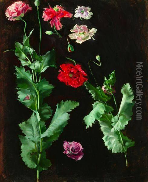Study Of Flowers Oil Painting - Ernest Edwards