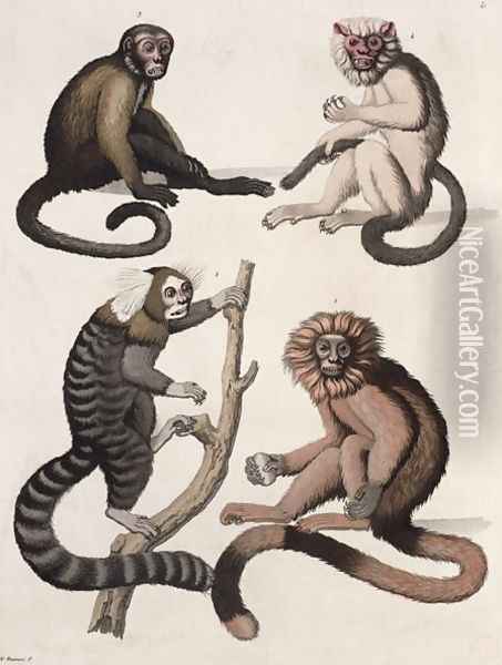 Monkeys Oil Painting - Vittorio Raineri