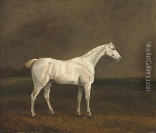 A White Stallion In A Landscape Oil Painting - Edwin, Beccles Of Cooper