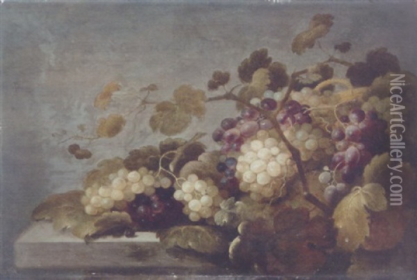 Grapes On A Stone Ledge Oil Painting - Roelof Koets the Elder