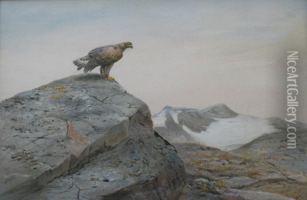 Golden Eagle On A Highland Crag Oil Painting - George Edward Lodge
