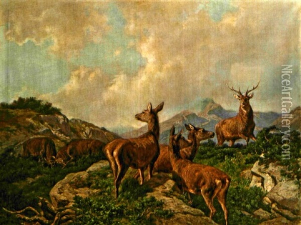 Hirsche Und Rehe Im Gebirge Oil Painting - Franz Xaver von Pausinger