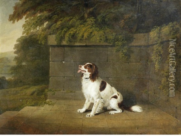 A Liver And White Spaniel Oil Painting - Henry Bernard Chalon