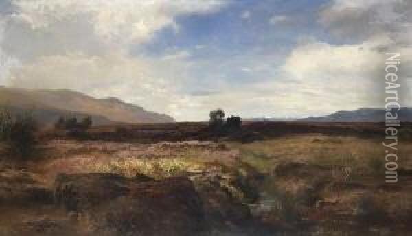 Oberbayerische
 Moorlandschaft Oil Painting - Joseph Wenglein