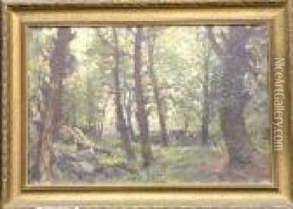 Forest Interior Oil Painting - Hal Robinson