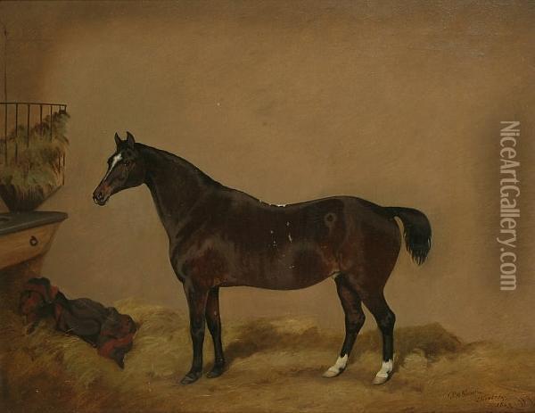A Dark Bay Pony In A Loosebox Oil Painting - R.A.C. Gooch