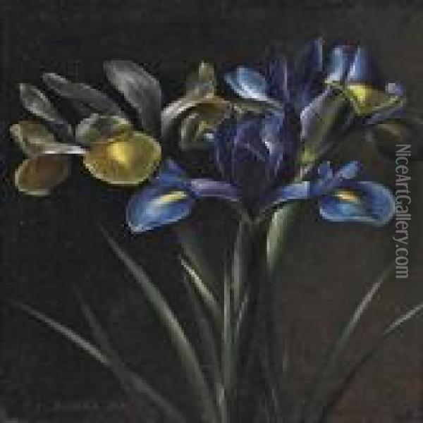 Yellow And Blue Iris Oil Painting - I.L. Jensen