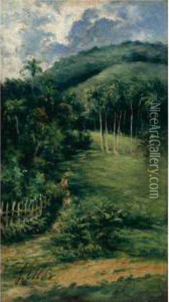 View Of The Guaraguao Oil Painting - Francisco Manuel Oller