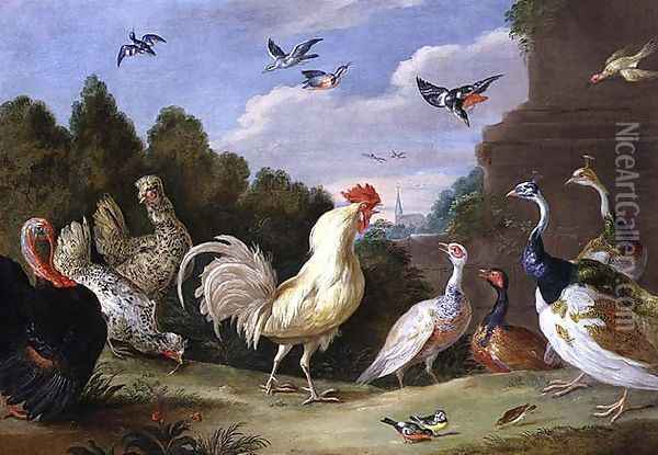 Wooded Landscape with a Cock Turkey Hens and other Birds Oil Painting - Jan van Kessel