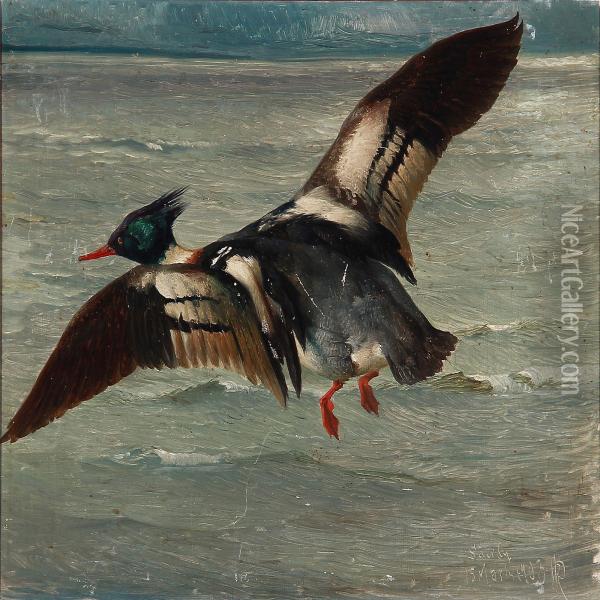 A Duck Flying Over The Sea Oil Painting - Niels Peter Rasmussen