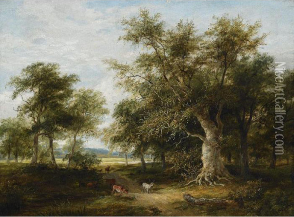 Stags In A Woodland Landscape Oil Painting - James Stark
