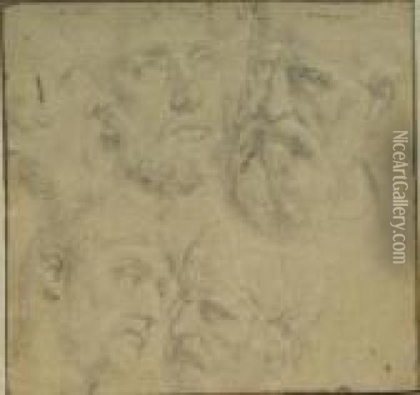 Head Of A Man Oil Painting - Raphael (Raffaello Sanzio of Urbino)