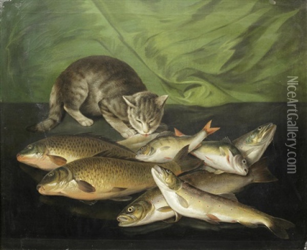 A Crouching Cat With Bream, Salmon, Perch And Trout On A Stone Ledge Oil Painting - Martin Ferdinand Quadal