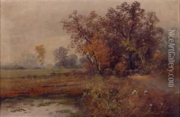 Herbstlandschaft Oil Painting - Franz Demel
