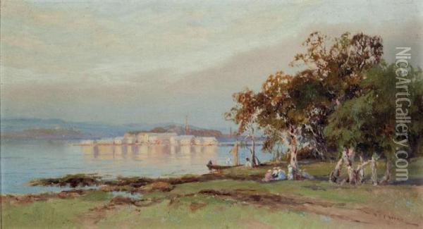 Sydney Harbour Oil Painting - William Charles Piguenit