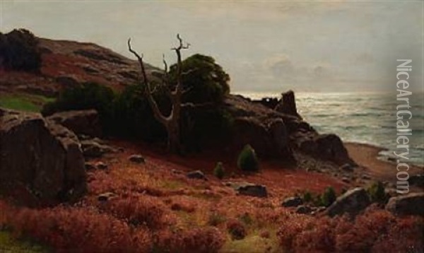 Late Summer At The Swedish Coast Oil Painting - Konrad Alexander Mueller-Kurzwelly