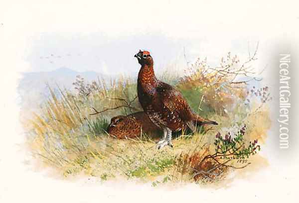 A Pair of Red Grouse Oil Painting - Archibald Thorburn