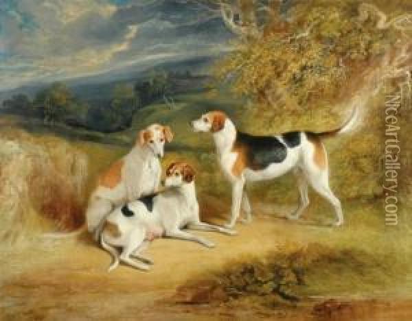 The Duke Of Rutland's Hounds With Belvoir Castle In Thedistance Oil Painting - Henry Perlee Parker