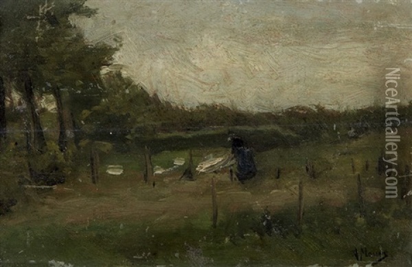 Het Bleekveld Oil Painting - Anton Mauve