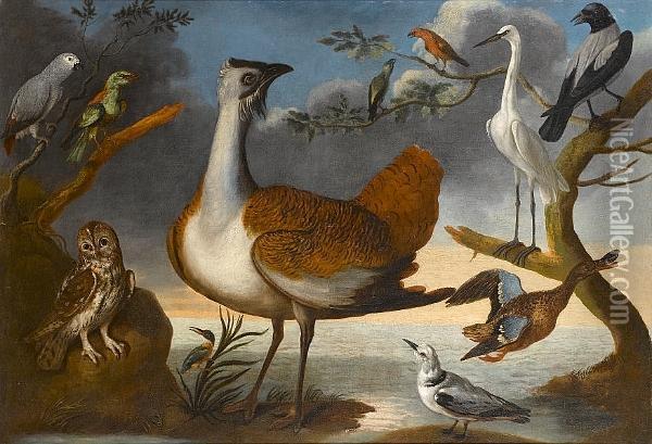 Study Of Birds On A Bank, A Grey Parrot, A Roller, A Tawny Owl, A Kingfisher, A Great Bustard, Male And Female Crossbill, A Kittywake, A Shoveller Duck, A Great White Egret And A Hooded Crow Oil Painting - Francis Barlow