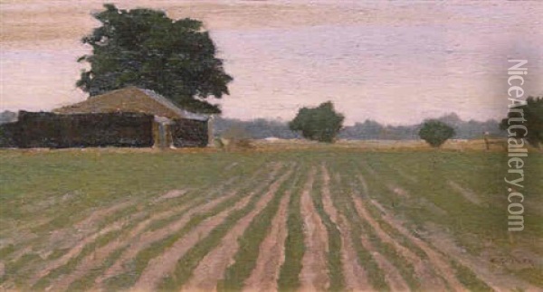Plowed Fields Oil Painting - Elioth Gruner