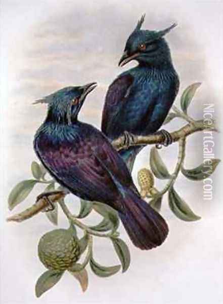 Phonygama Purpureiviolacea Oil Painting - William M. Hart