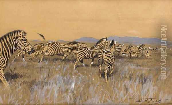 Herd of Zebra Oil Painting - Wilhelm Kuhnert