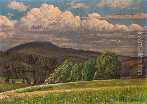 Bluhende Wiesen: Schwarzwald Oil Painting - Hermann Dischler