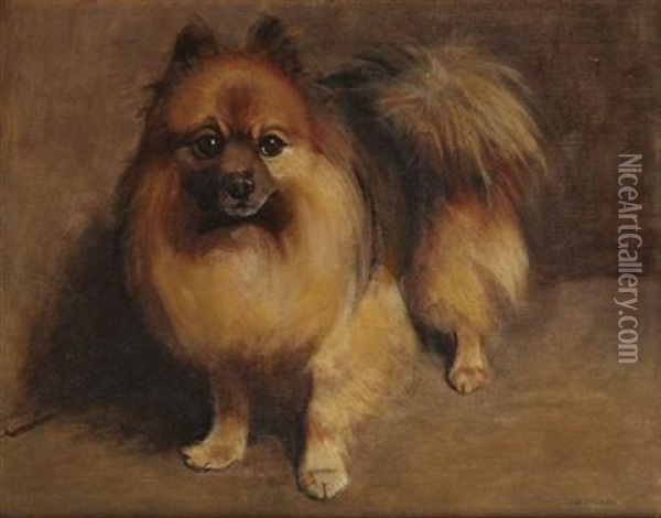 Pomeranian Oil Painting - Samuel Fulton