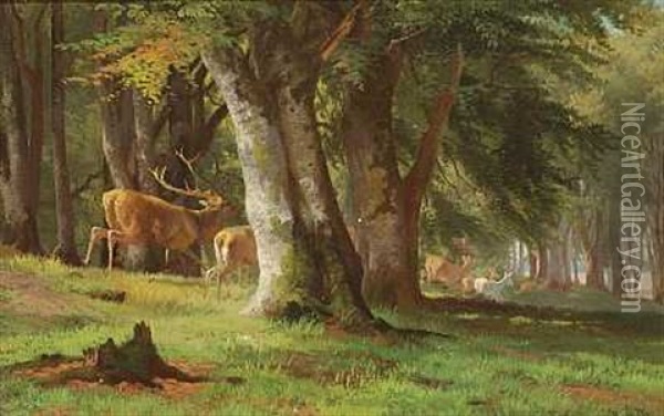 En Kronhjort Med Sin Rudel I Lob Gennem Skoven Oil Painting - Adolf Heinrich Mackeprang