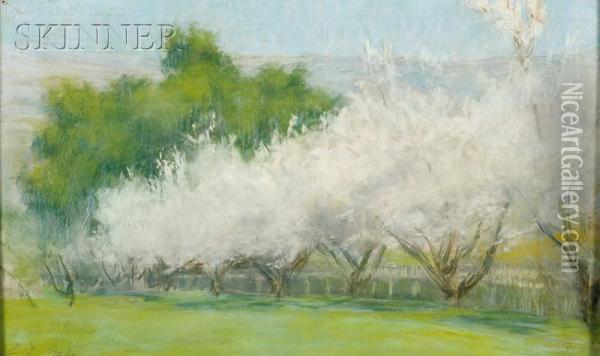 Almond Blossoms Oil Painting - Ellen Day Hale