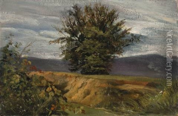 Baum Am Abhang Oil Painting - Christian Friedrich Gille
