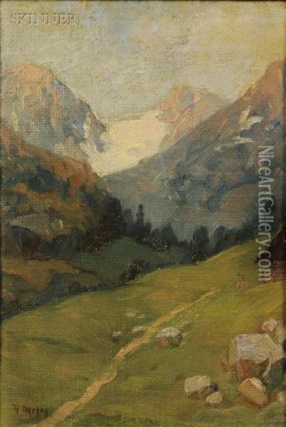 Alpine Study Oil Painting - Herman Herzog