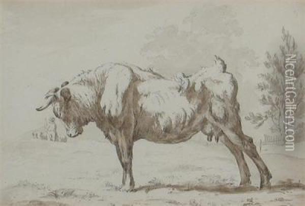 Studies Of Cows Oil Painting - Thomas Woodward