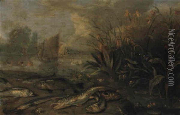 Herons And Waterfowl Near A River With Fish And Reptiles In The Foreground Oil Painting - Jan van Kessel the Elder