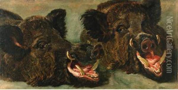 Studies Of The Head Of A Wild Boar Oil Painting - Jan Fyt
