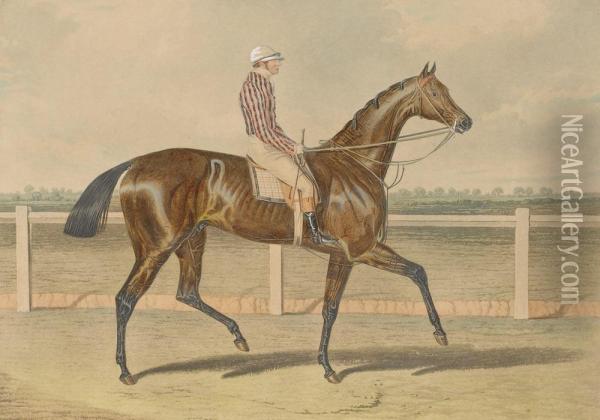 The Winner Of The Great St Leger Stakes At Doncaster Oil Painting - Charles Hunt
